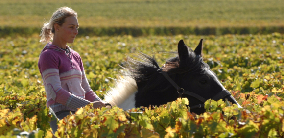 One Week in the Loire Valley